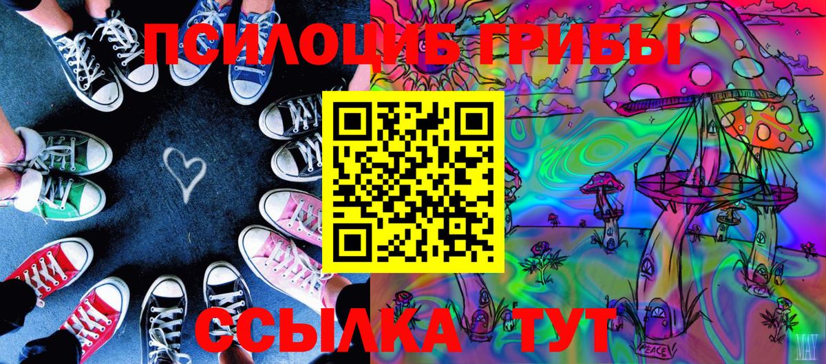 Галлюциногенные грибы Cubensis Александров