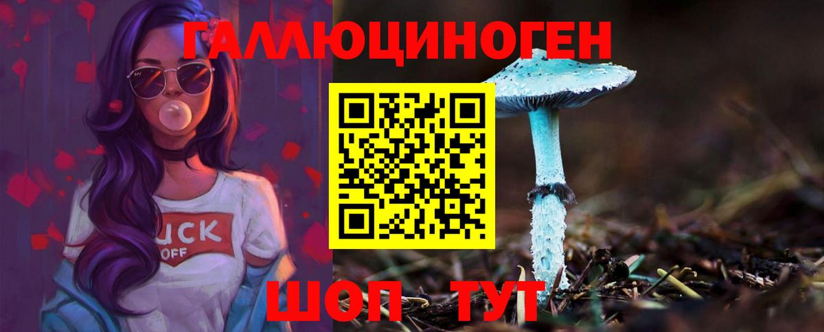 Галлюциногенные грибы MAGIC MUSHROOMS  Вход с VPN  Галлюциногенные грибы Psilocybine cubensis  Александров 